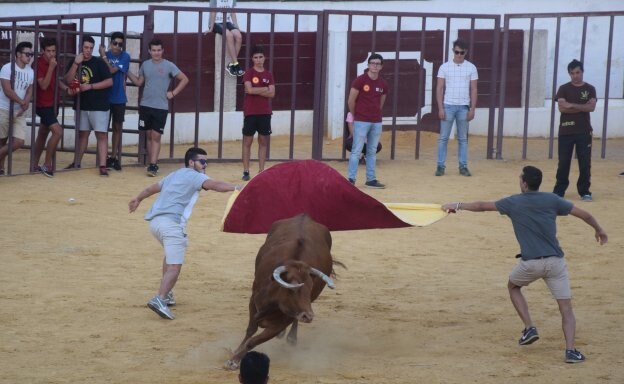 Las fiestas contarán con una capea nocturna