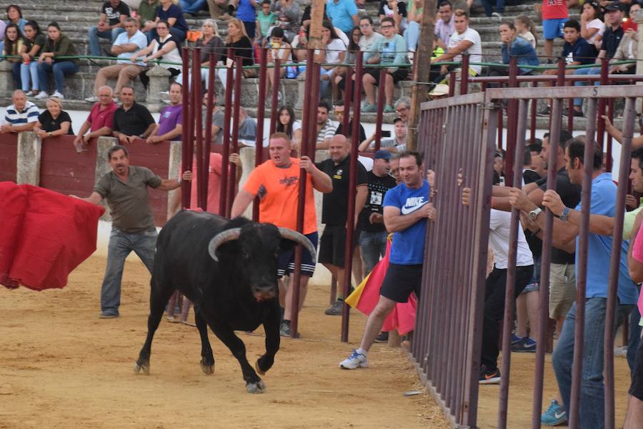 Uno de los momentos de la capea de ayer 