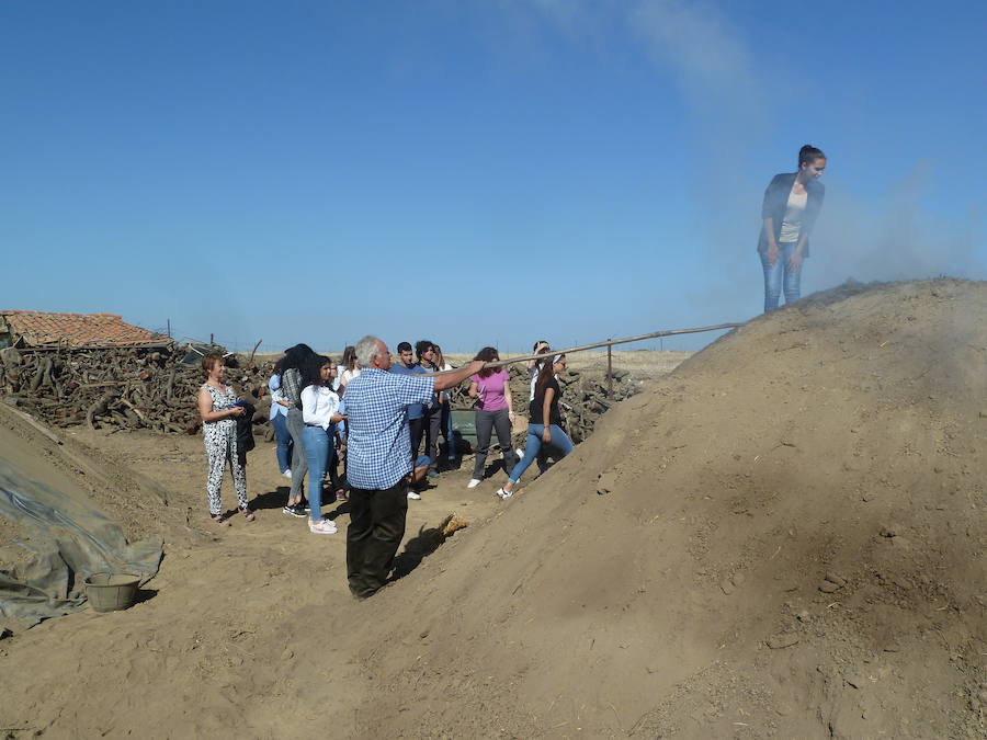 Alumnos viendo la carbonera de Tito 