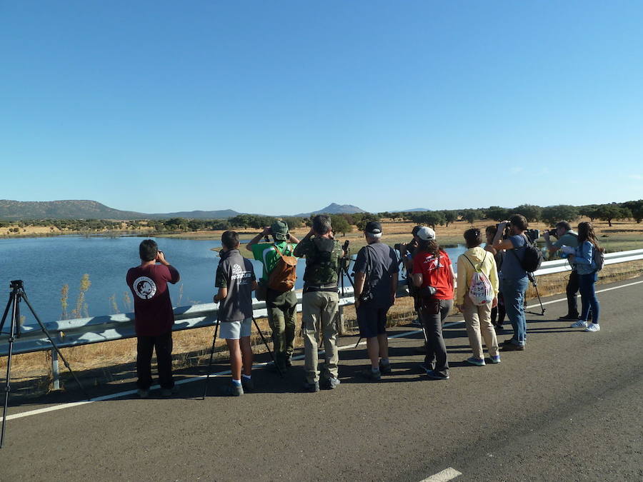Adicomt vuelve a proponer cuatro salidas por la comarca