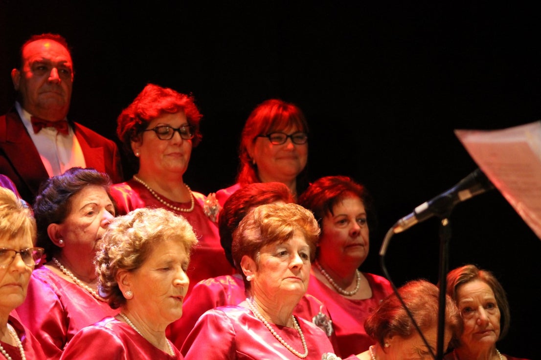 Imágenes del Concierto de Villancicos celebrado en la Casa de la Cultura durante las Navidades 2018-2019 (03-01-2019)