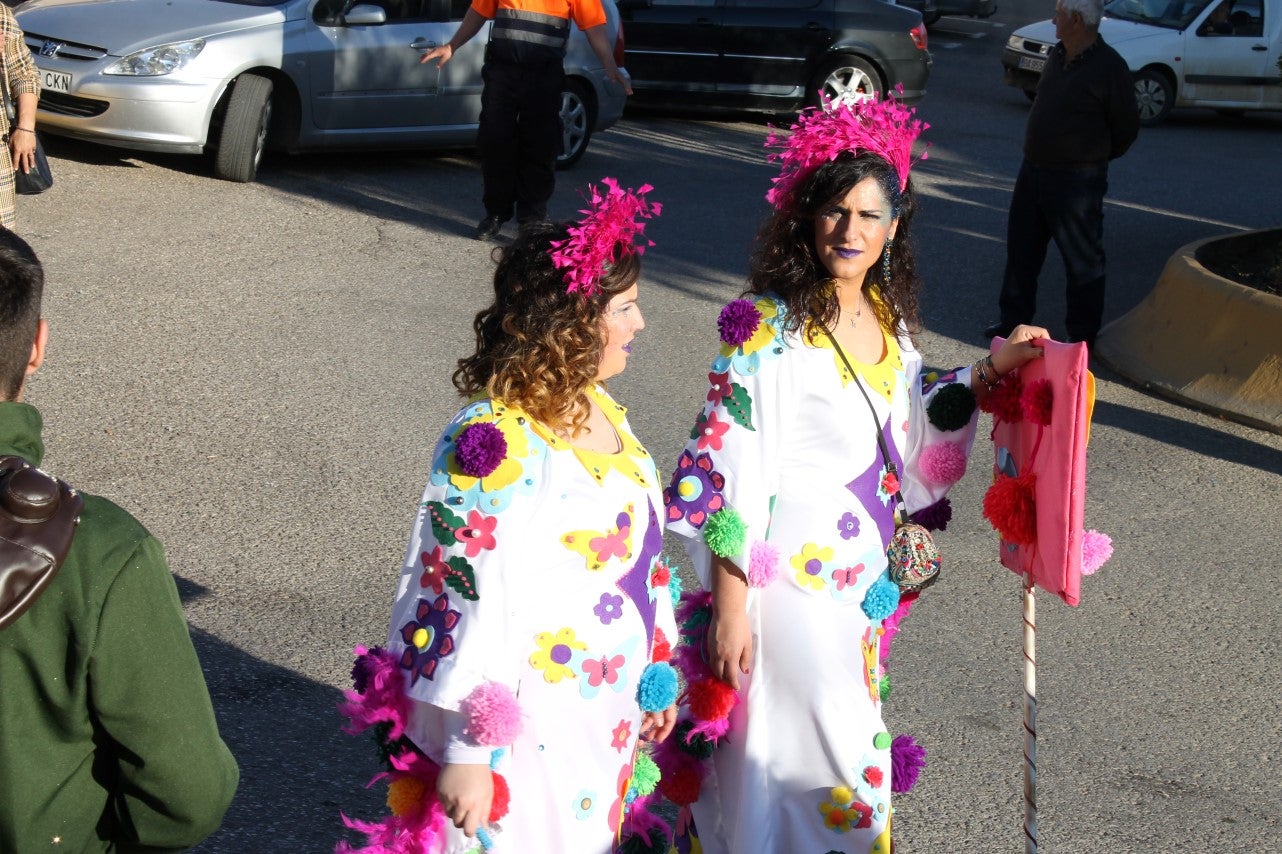 Algunas imágenes del Carnaval 2019 celebrado en Valverde de Leganés (02-03-2019)