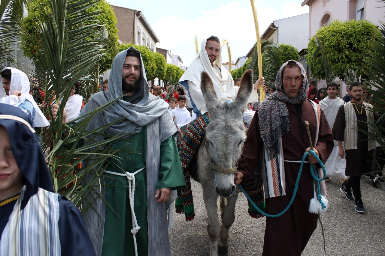 Algunas imágenes del Domingo de Ramos con la procesión de la Burrita como protagonista en el inicio de la Semana Santa en Valverde de Leganés (14-04-2019)