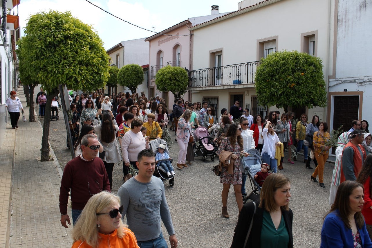 Algunas imágenes del Domingo de Ramos con la procesión de la Burrita como protagonista en el inicio de la Semana Santa en Valverde de Leganés (14-04-2019)