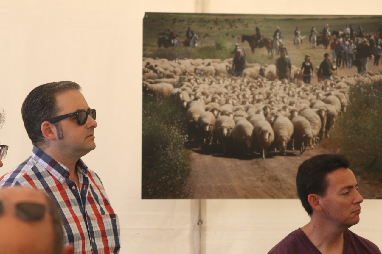 Imágenes de las actividades del sábado de la novena edición de 'Vive la Trashumancia' (04-05-2019)