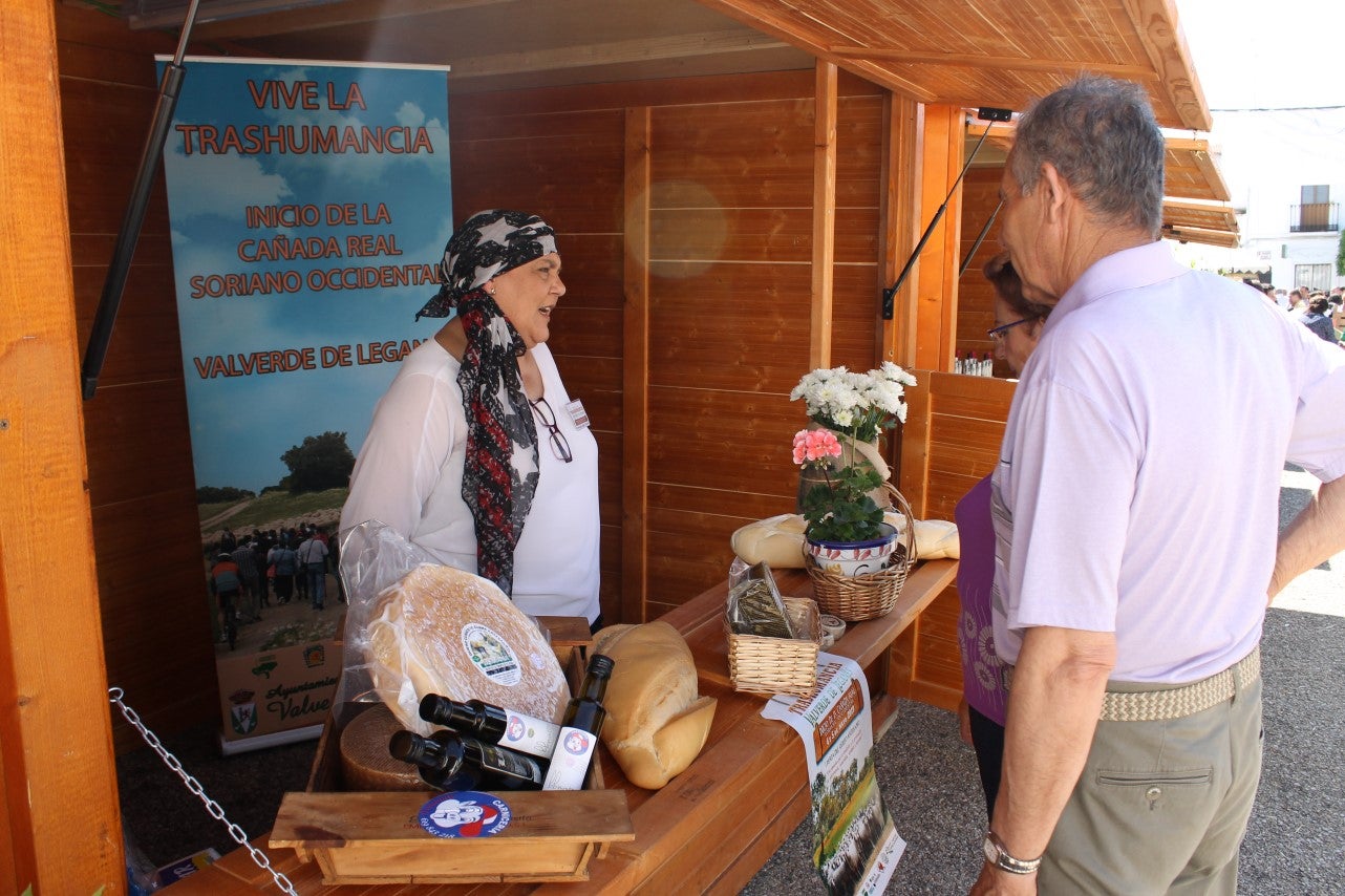 Imágenes de las actividades del sábado de la novena edición de 'Vive la Trashumancia' (04-05-2019)