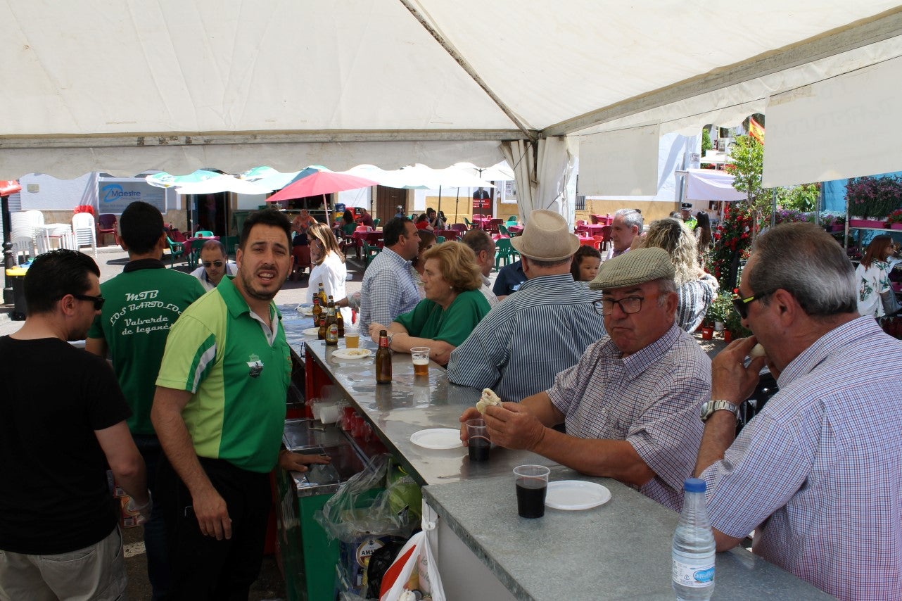 Imágenes de las actividades del sábado de la novena edición de 'Vive la Trashumancia' (04-05-2019)