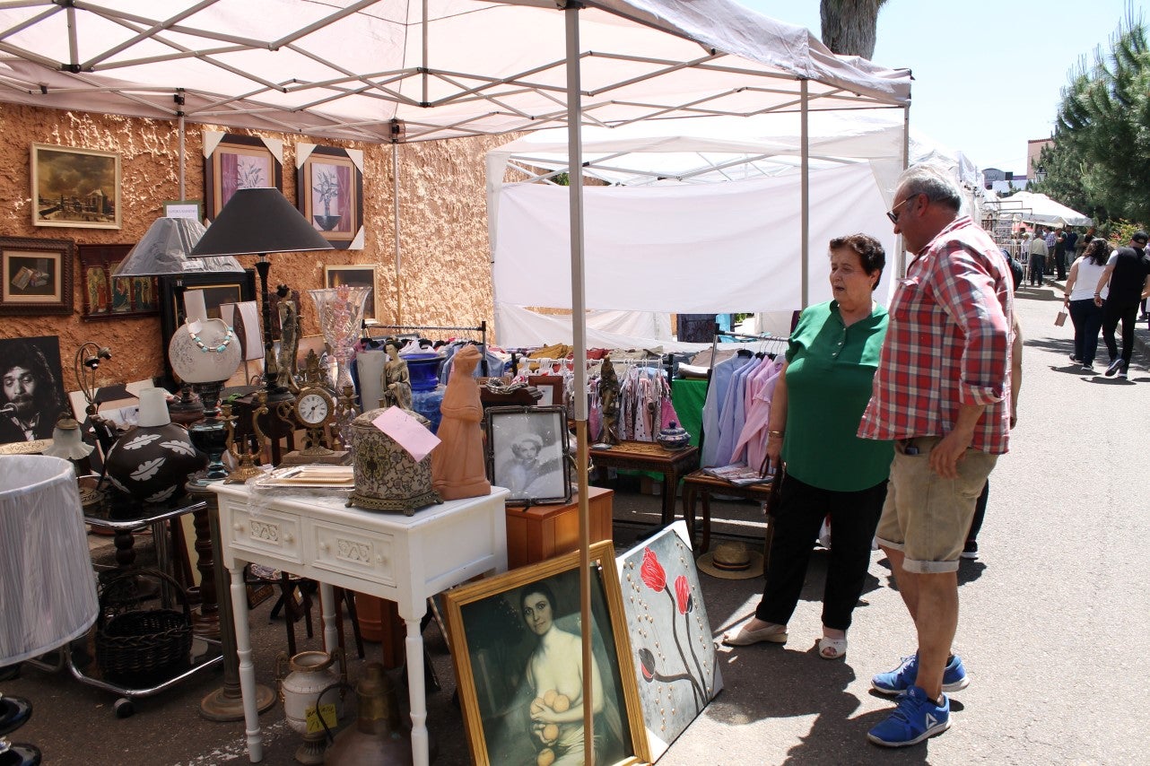 Imágenes de las actividades del sábado de la novena edición de 'Vive la Trashumancia' (04-05-2019)