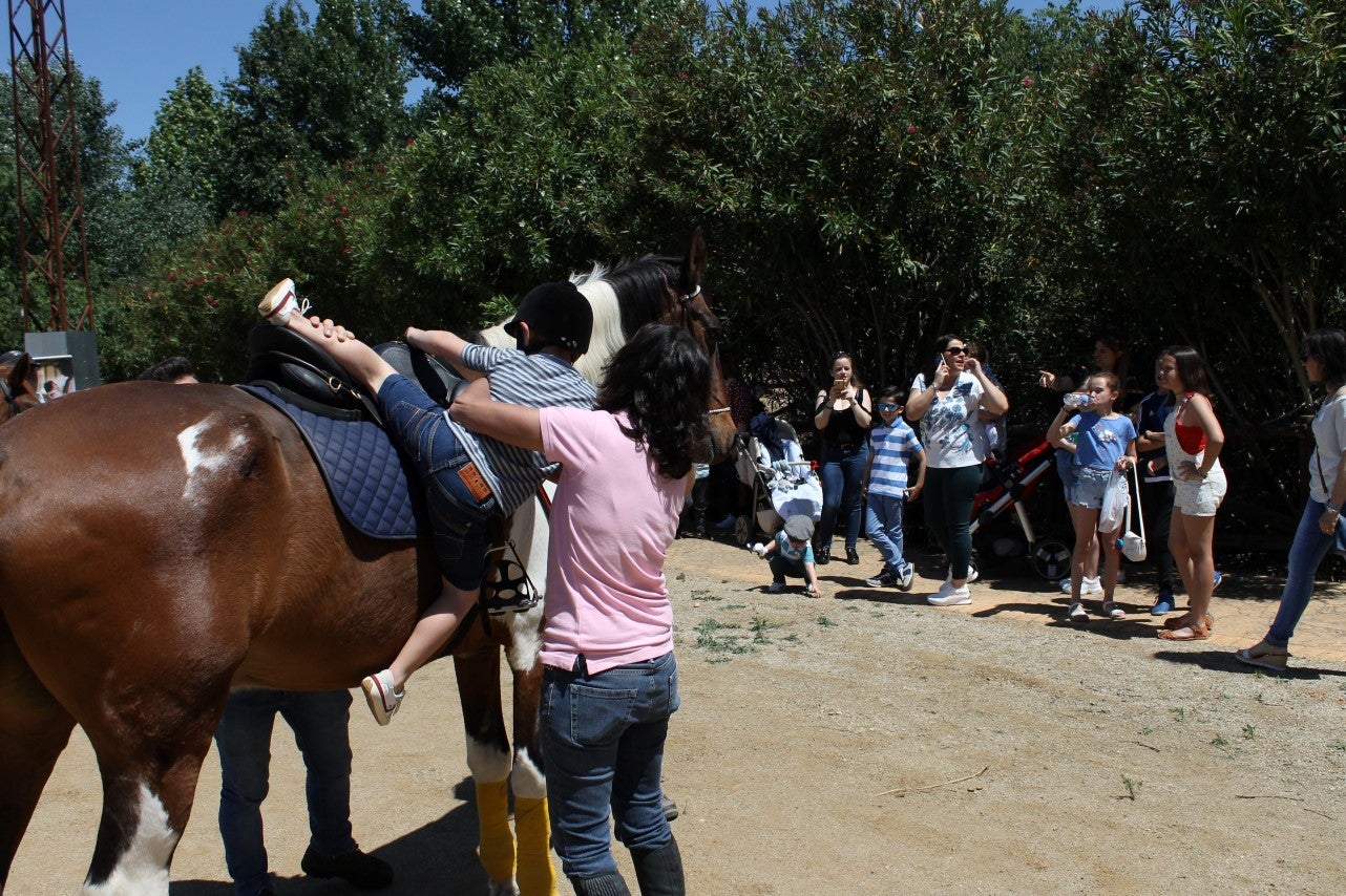 Imágenes de las actividades del sábado de la novena edición de 'Vive la Trashumancia' (04-05-2019)