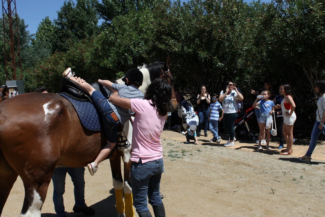 Imágenes de las actividades del sábado de la novena edición de 'Vive la Trashumancia' (04-05-2019)