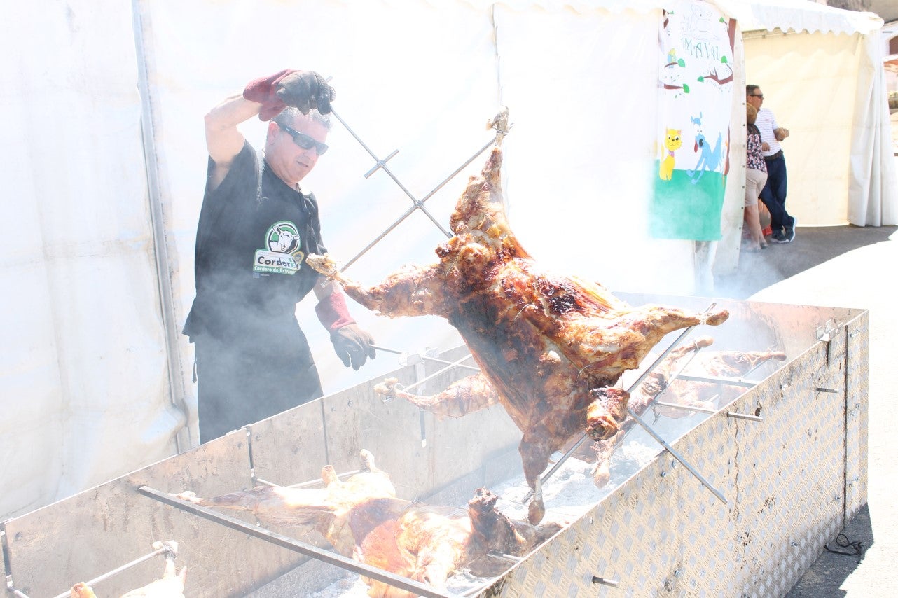 Imágenes de las actividades del sábado de la novena edición de 'Vive la Trashumancia' (04-05-2019)