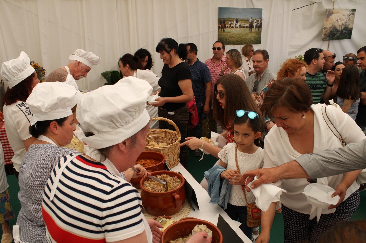 Imágenes de las actividades del sábado de la novena edición de 'Vive la Trashumancia' (04-05-2019)