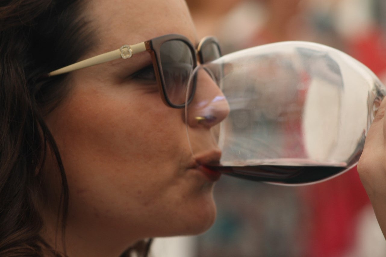 Imágenes de las actividades del sábado de la novena edición de 'Vive la Trashumancia' (04-05-2019)