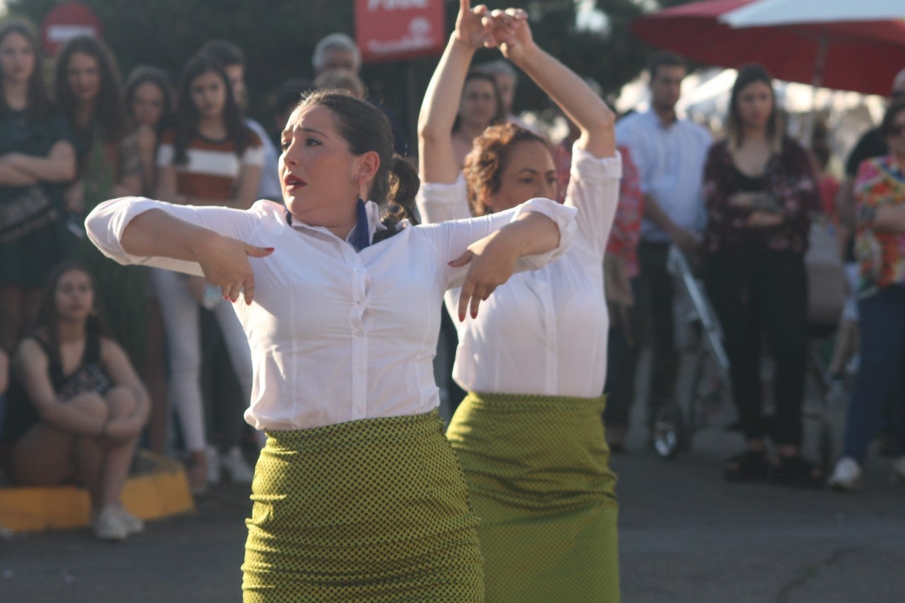 Imágenes de las actividades del sábado de la novena edición de 'Vive la Trashumancia' (04-05-2019)