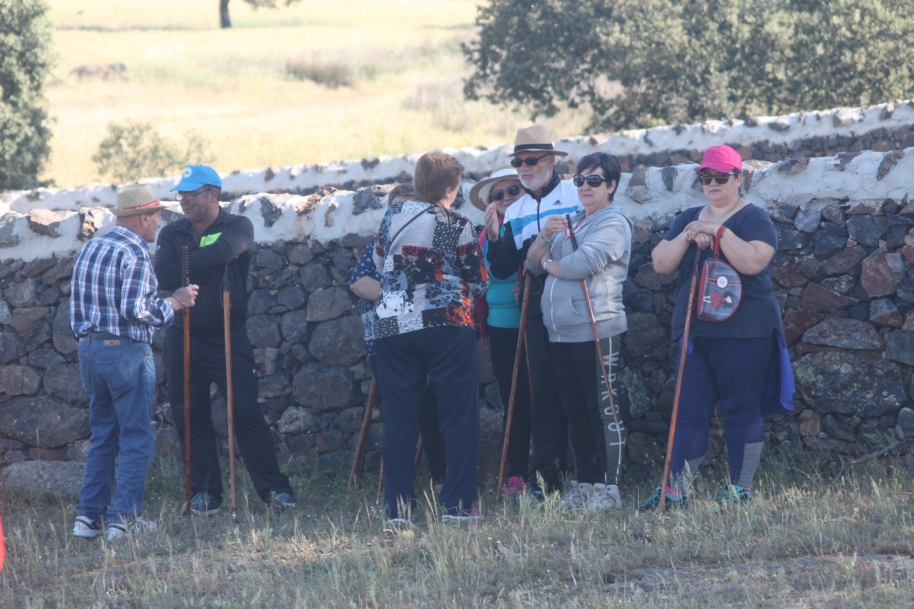 Imáenes de las actividades desarrolladas el domingo en la novena edición de 'vive la Trashumancia' (05-05-2019)