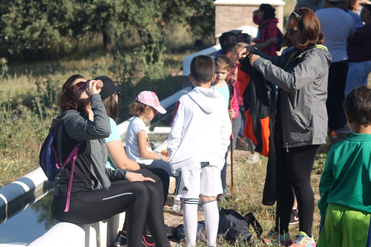 Imáenes de las actividades desarrolladas el domingo en la novena edición de 'vive la Trashumancia' (05-05-2019)