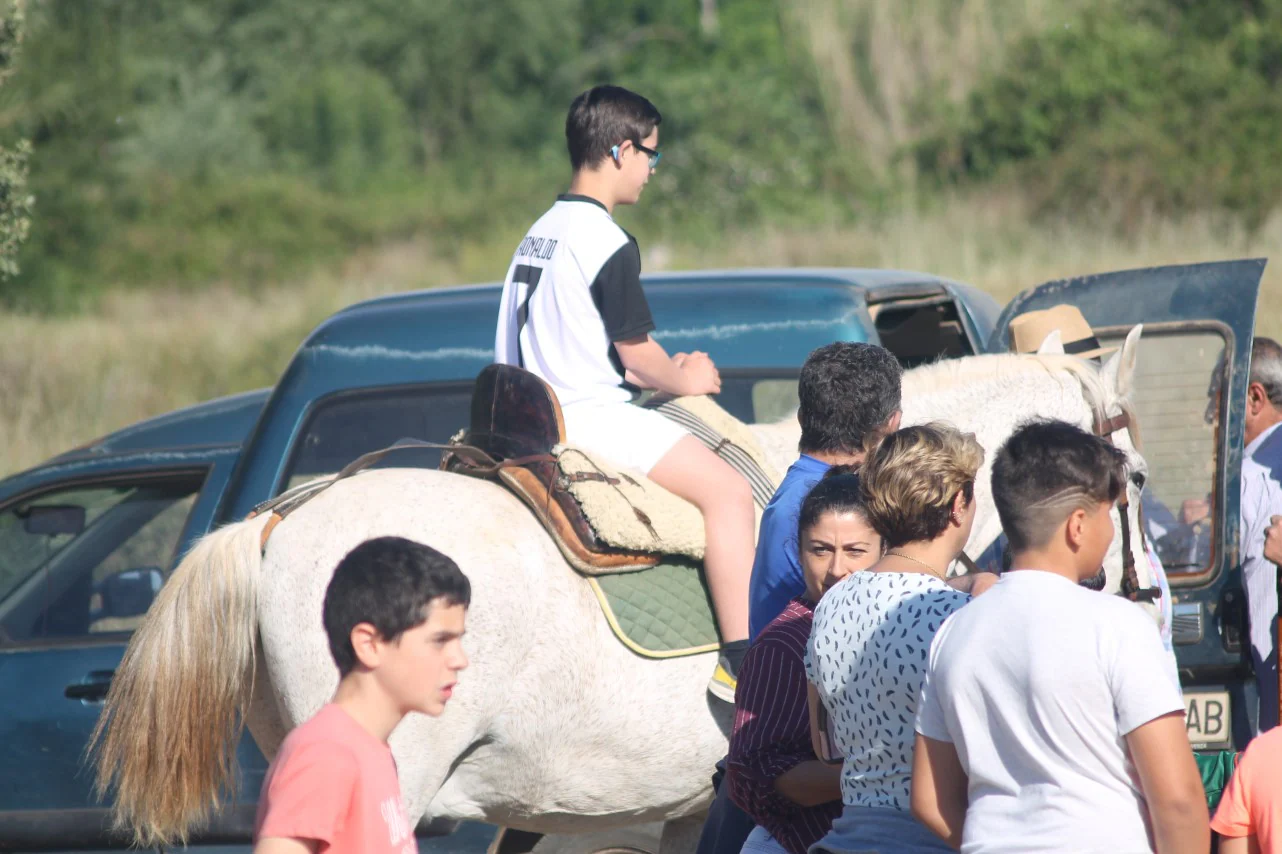 Imáenes de las actividades desarrolladas el domingo en la novena edición de 'vive la Trashumancia' (05-05-2019)