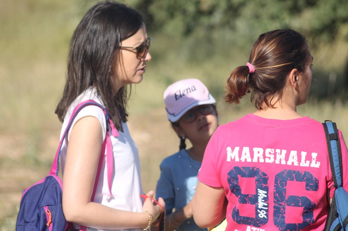 Imáenes de las actividades desarrolladas el domingo en la novena edición de 'vive la Trashumancia' (05-05-2019)