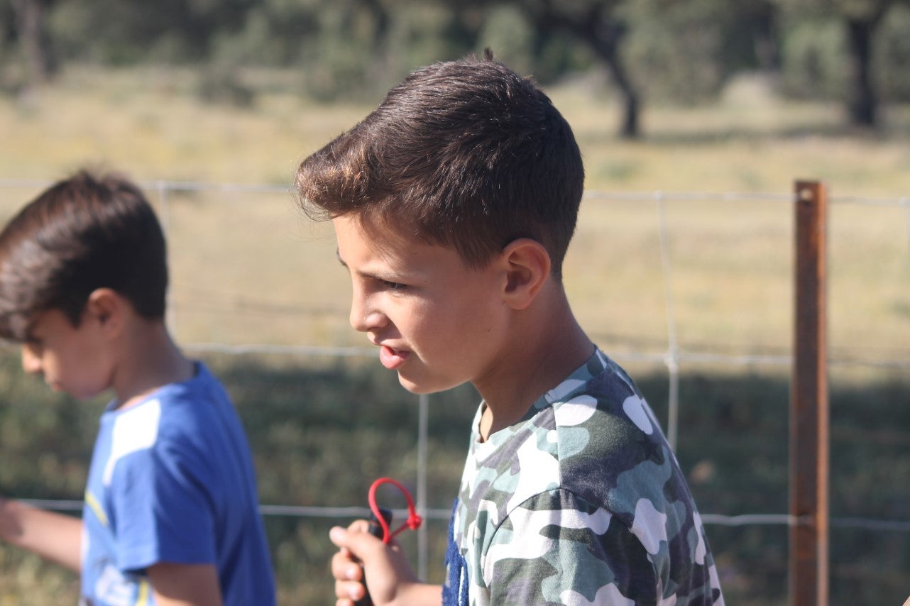 Imáenes de las actividades desarrolladas el domingo en la novena edición de 'vive la Trashumancia' (05-05-2019)