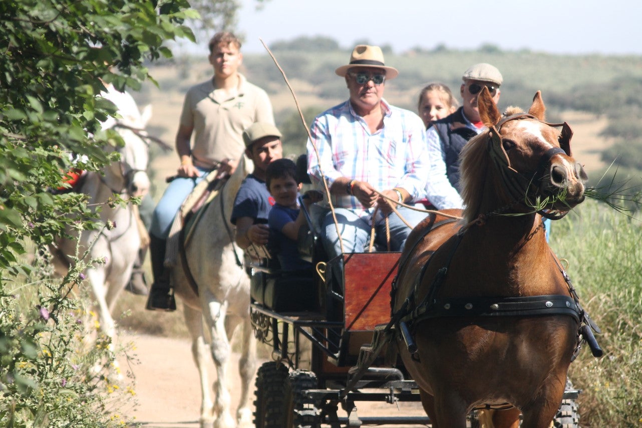 Imágenes de las actividades desarrolladas el domingo en la novena edición de 'vive la Trashumancia' (05-05-2019)