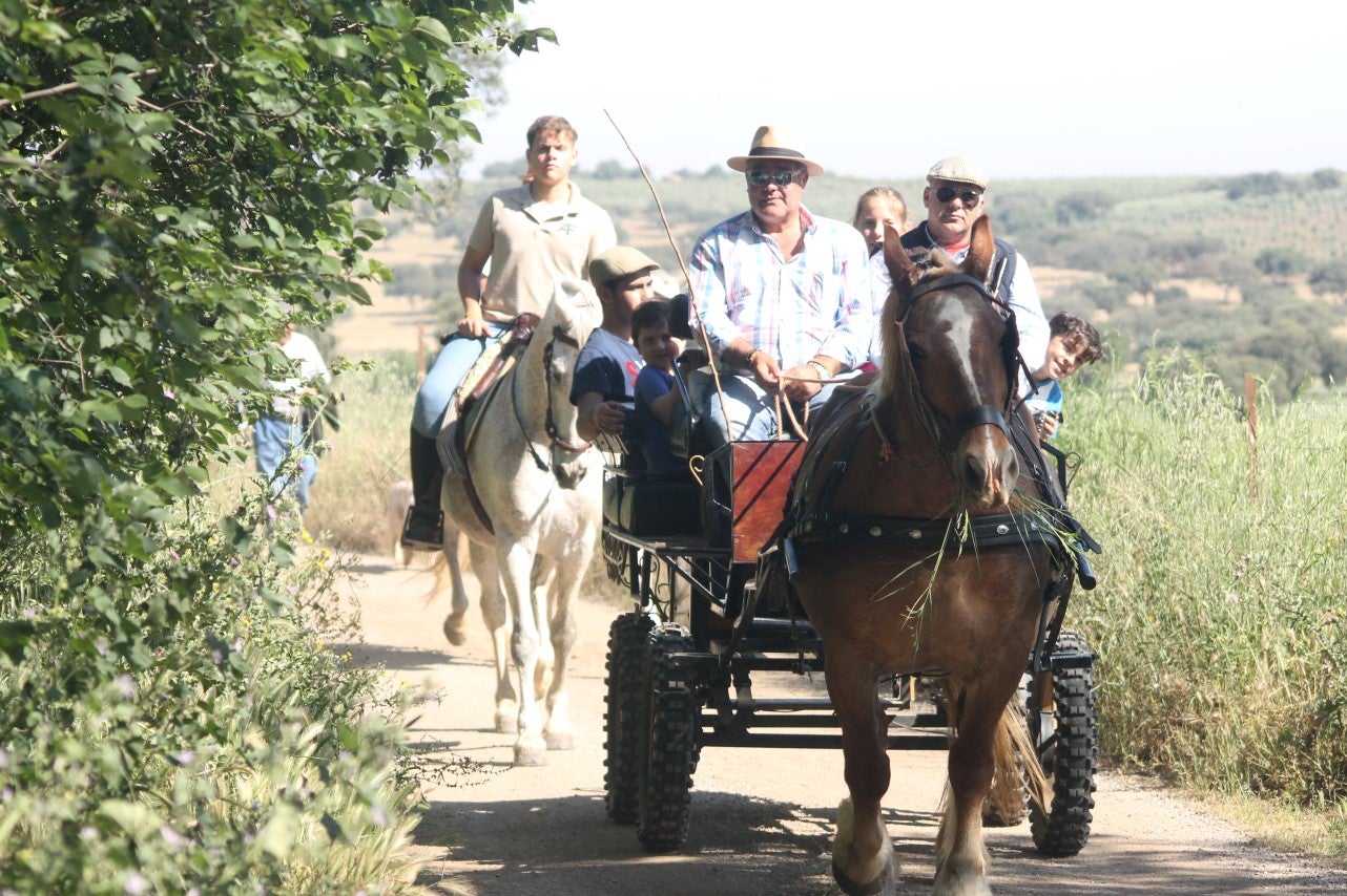 Imágenes de las actividades desarrolladas el domingo en la novena edición de 'vive la Trashumancia' (05-05-2019)