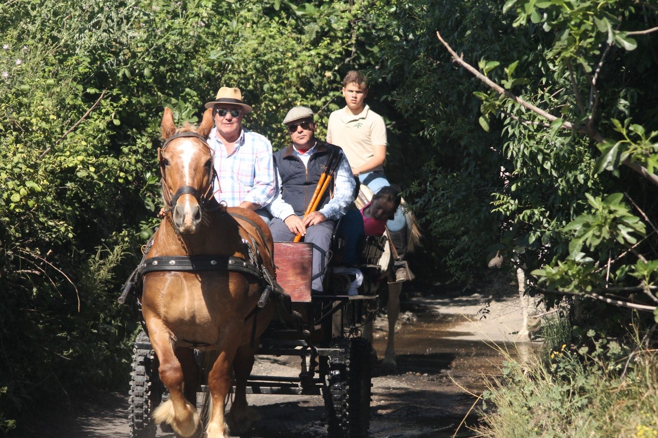 Imágenes de las actividades desarrolladas el domingo en la novena edición de 'vive la Trashumancia' (05-05-2019)