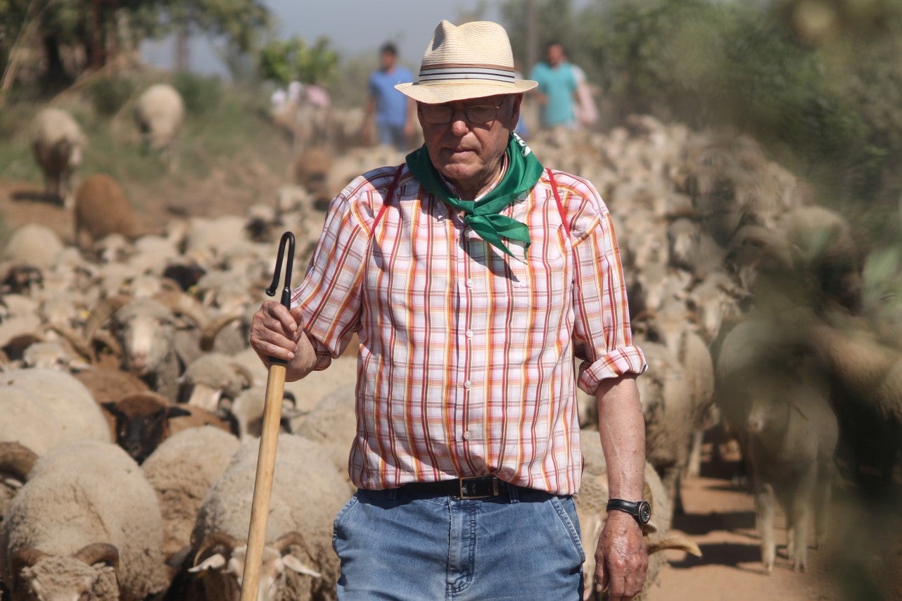 Imágenes de las actividades desarrolladas el domingo en la novena edición de 'vive la Trashumancia' (05-05-2019)