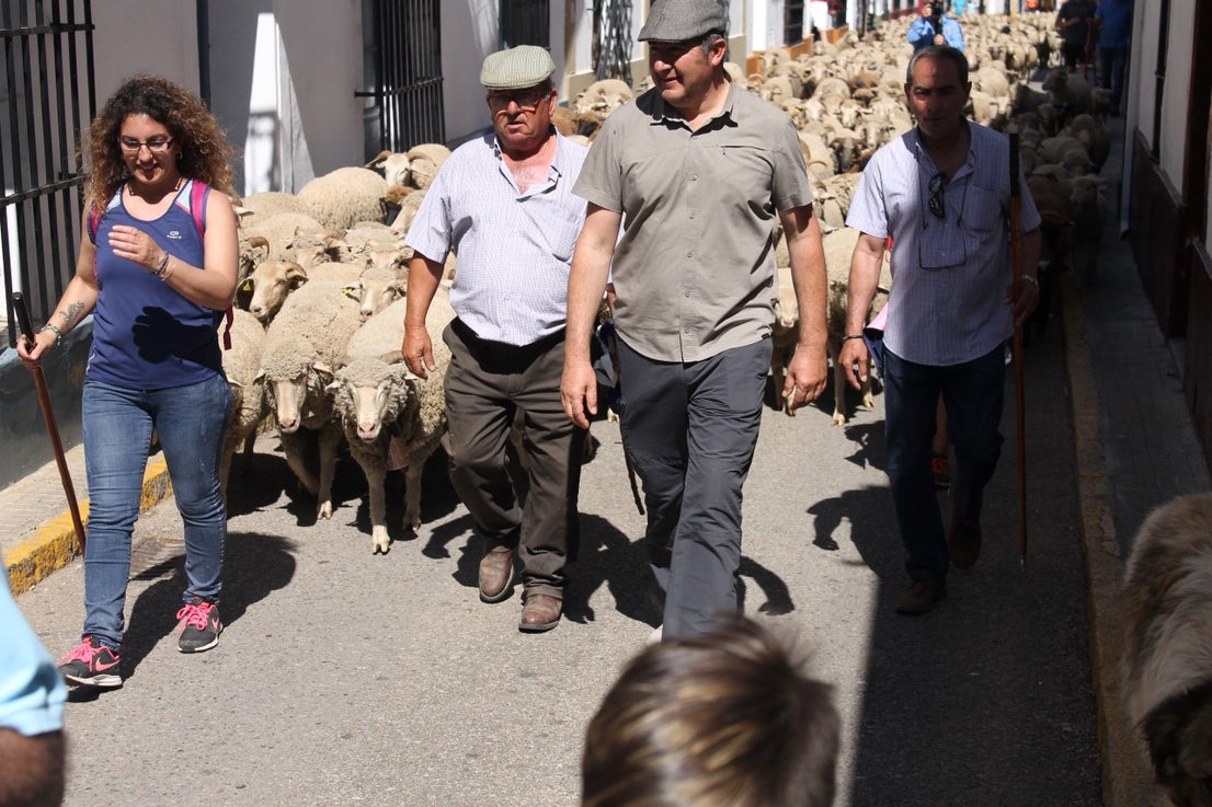 Imágenes de las actividades desarrolladas el domingo en la novena edición de 'vive la Trashumancia' (05-05-2019)