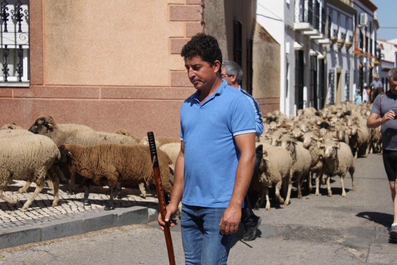Imágenes de las actividades desarrolladas el domingo en la novena edición de 'vive la Trashumancia' (05-05-2019)