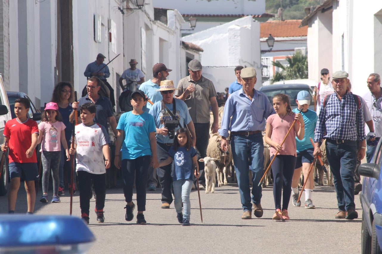 Imágenes de las actividades desarrolladas el domingo en la novena edición de 'vive la Trashumancia' (05-05-2019)