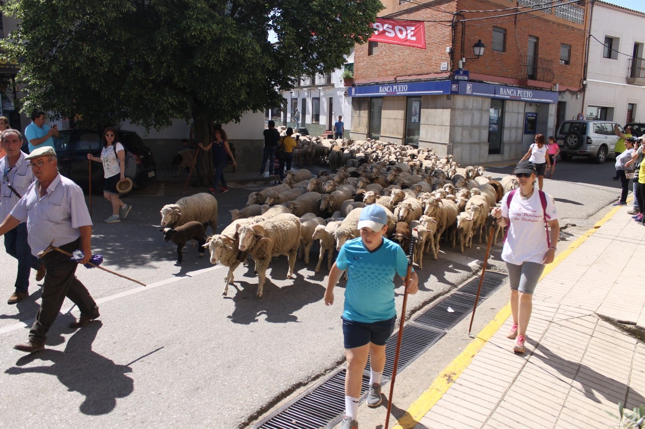 Imágenes de las actividades desarrolladas el domingo en la novena edición de 'vive la Trashumancia' (05-05-2019)