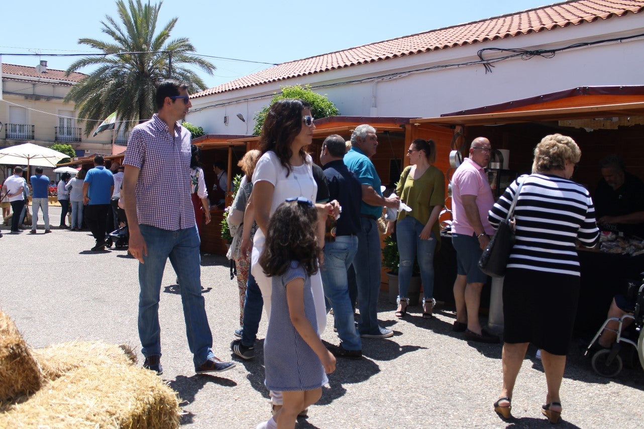 Imágenes de las actividades desarrolladas el domingo en la novena edición de 'vive la Trashumancia' (05-05-2019)
