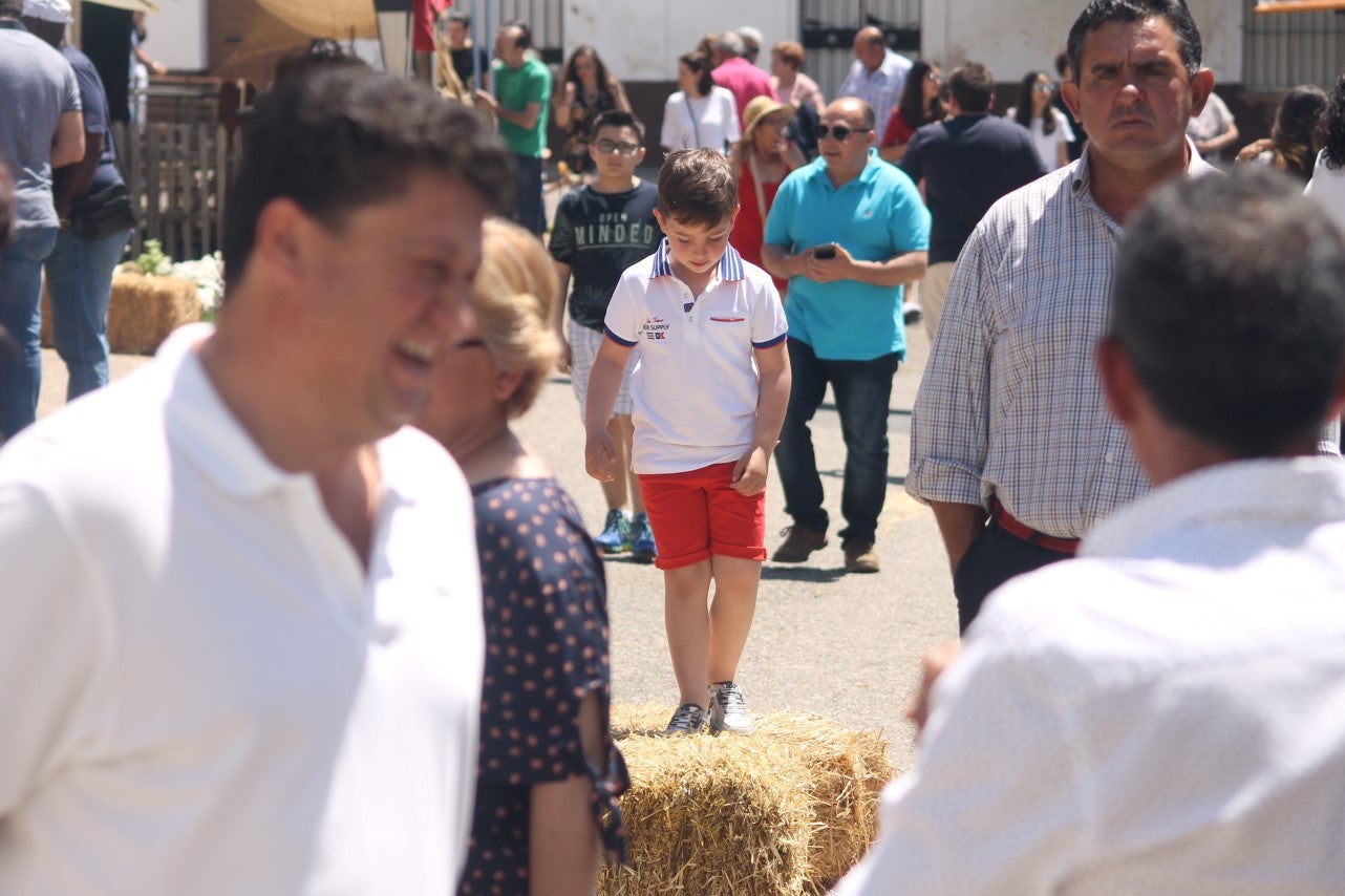 Imágenes de las actividades desarrolladas el domingo en la novena edición de 'vive la Trashumancia' (05-05-2019)