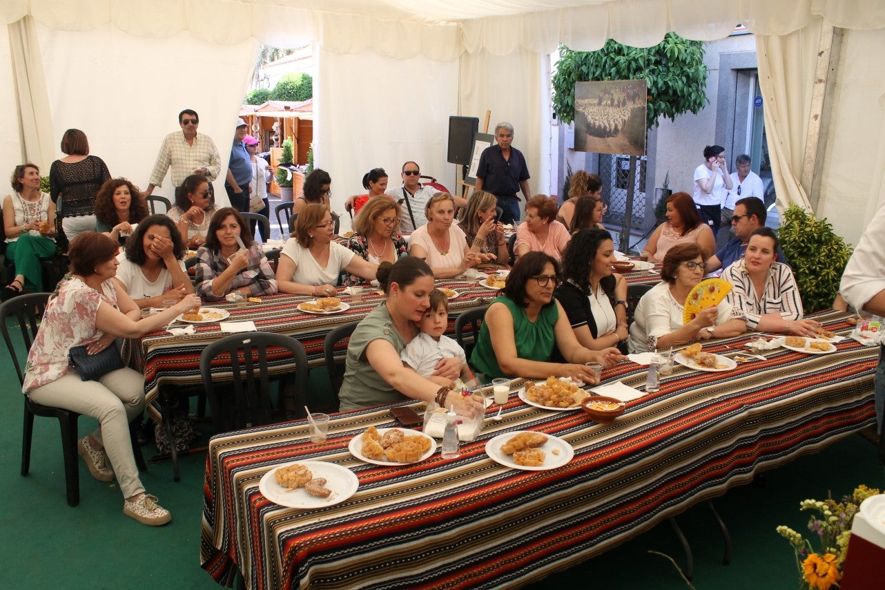 Imágenes de las actividades desarrolladas el domingo en la novena edición de 'vive la Trashumancia' (05-05-2019)