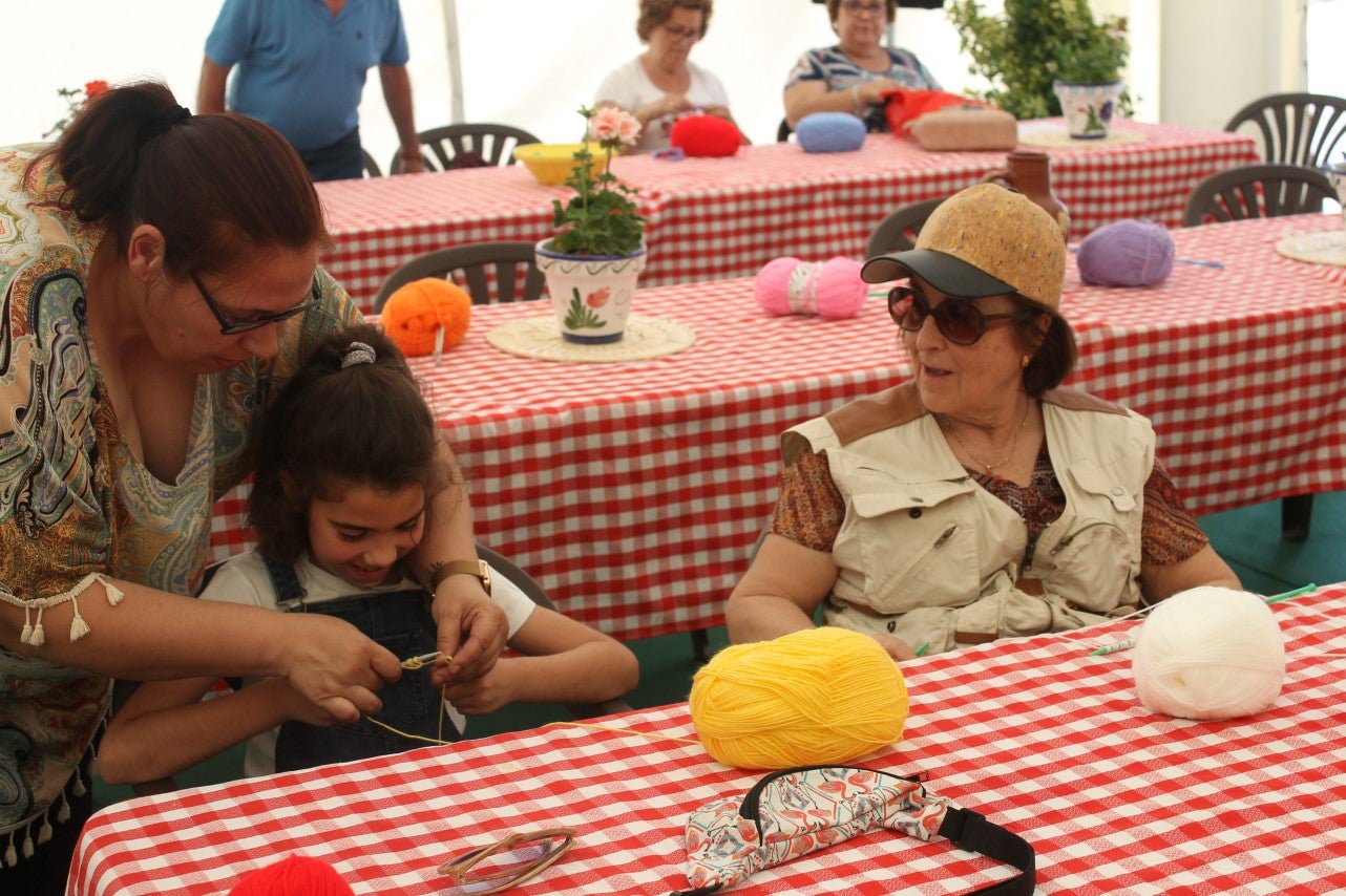 Imágenes de las actividades desarrolladas el domingo en la novena edición de 'vive la Trashumancia' (05-05-2019)