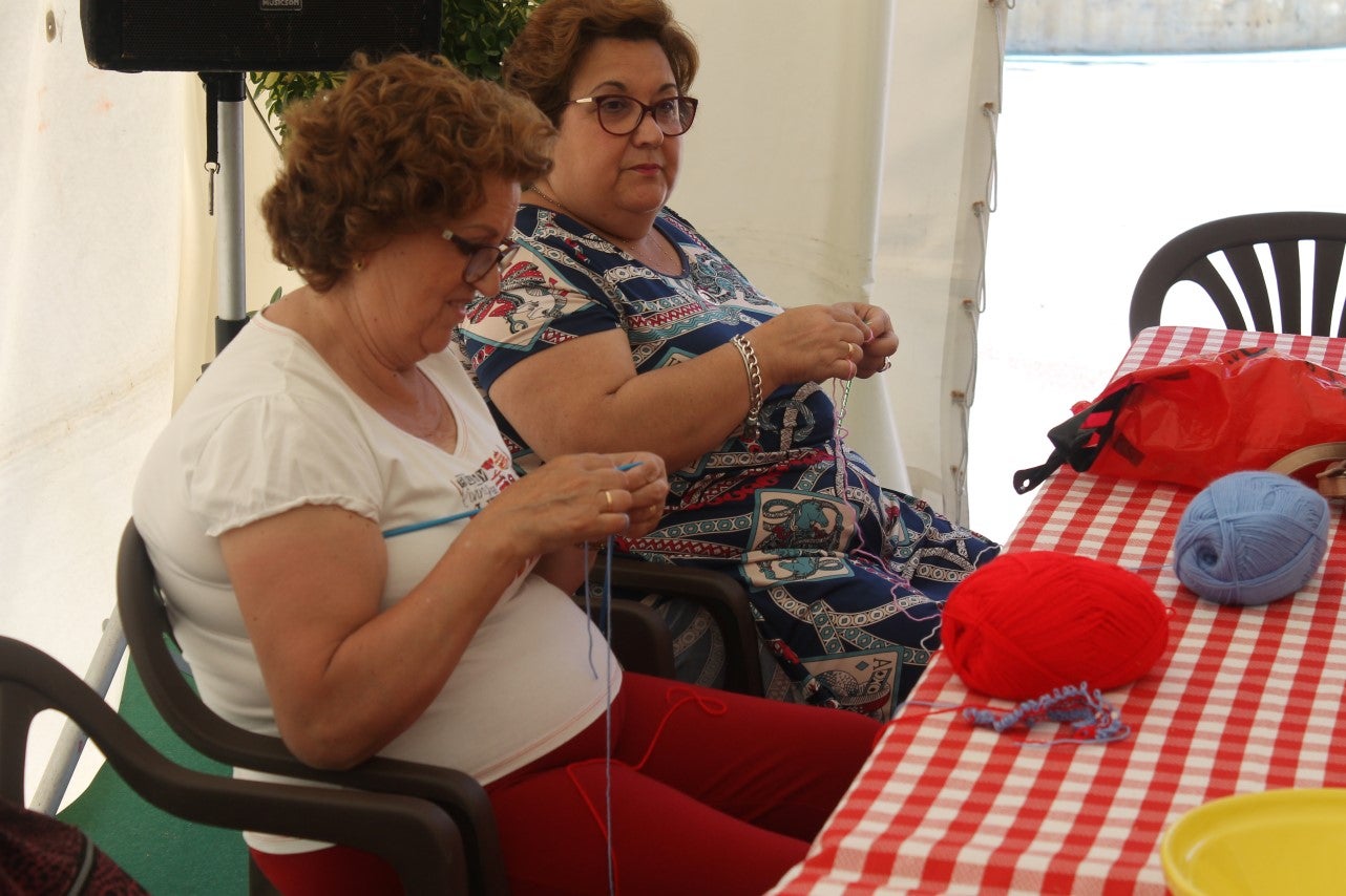 Imágenes de las actividades desarrolladas el domingo en la novena edición de 'vive la Trashumancia' (05-05-2019)