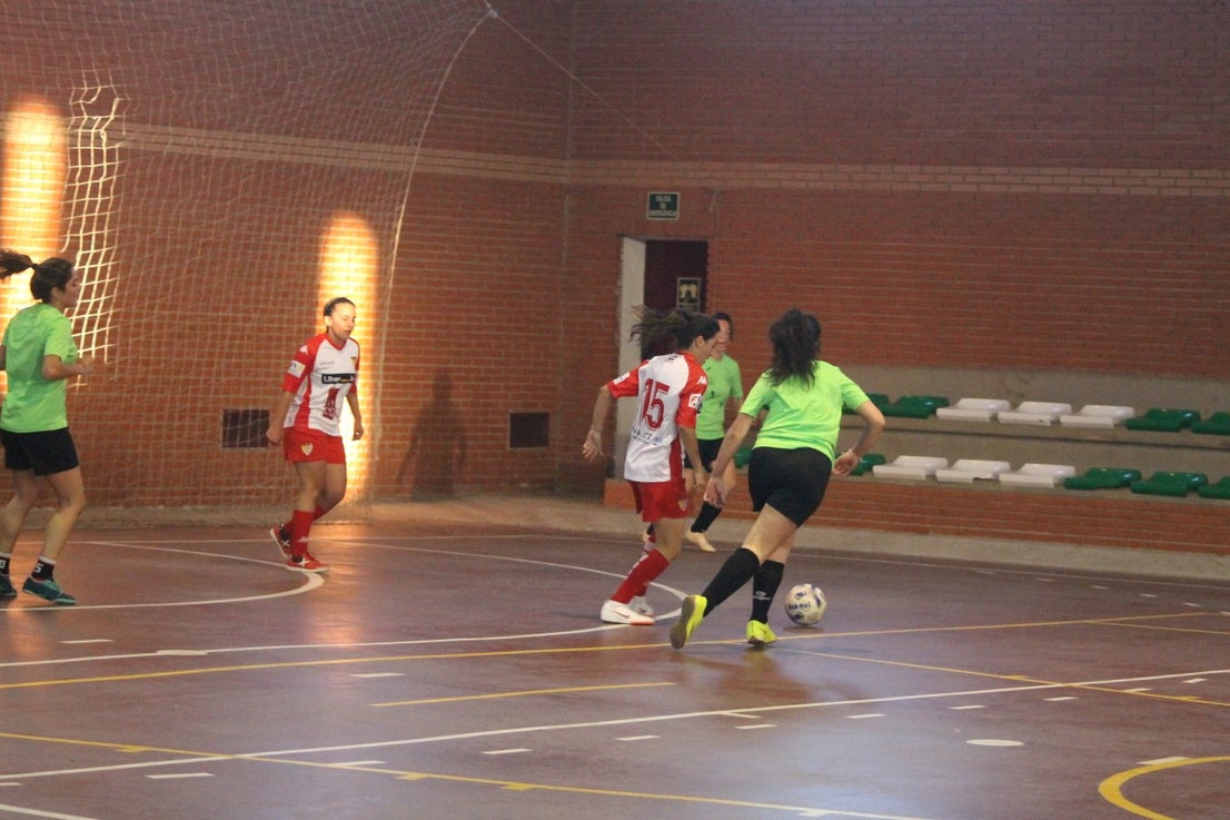 Algunas imágenes del encuentro femenino que enfrentó al equipo de Valverde y Almendral con el Santa Teresa en el pabellón polideportivo (28-05-2019)