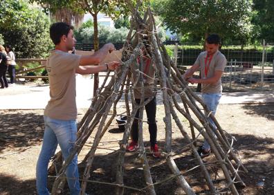 Imagen secundaria 1 - Algunas de las actividades organizadas