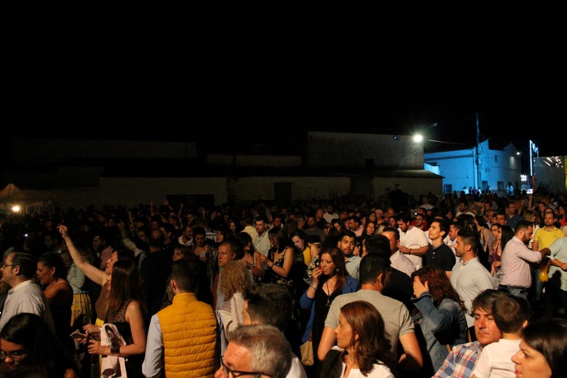 Fotos: Fevalpop 2019 (V)