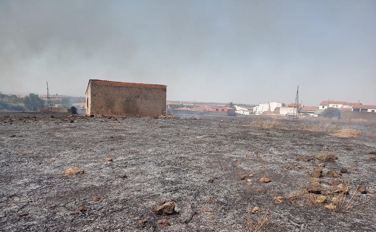 Estado en el que quedó la zona incendiada
