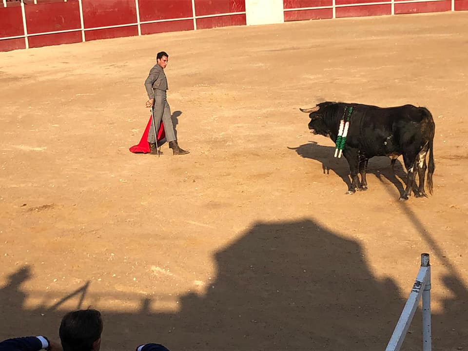 Algunas imágenes de las actividades celebradas el sábado en las Ferias y Fiestas de San Bartolomé 2019 (24-08-2019)