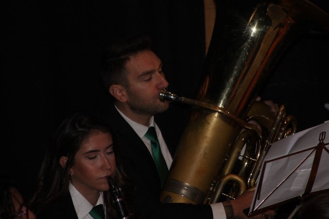 Fotos: Concierto de Santa Cecilia