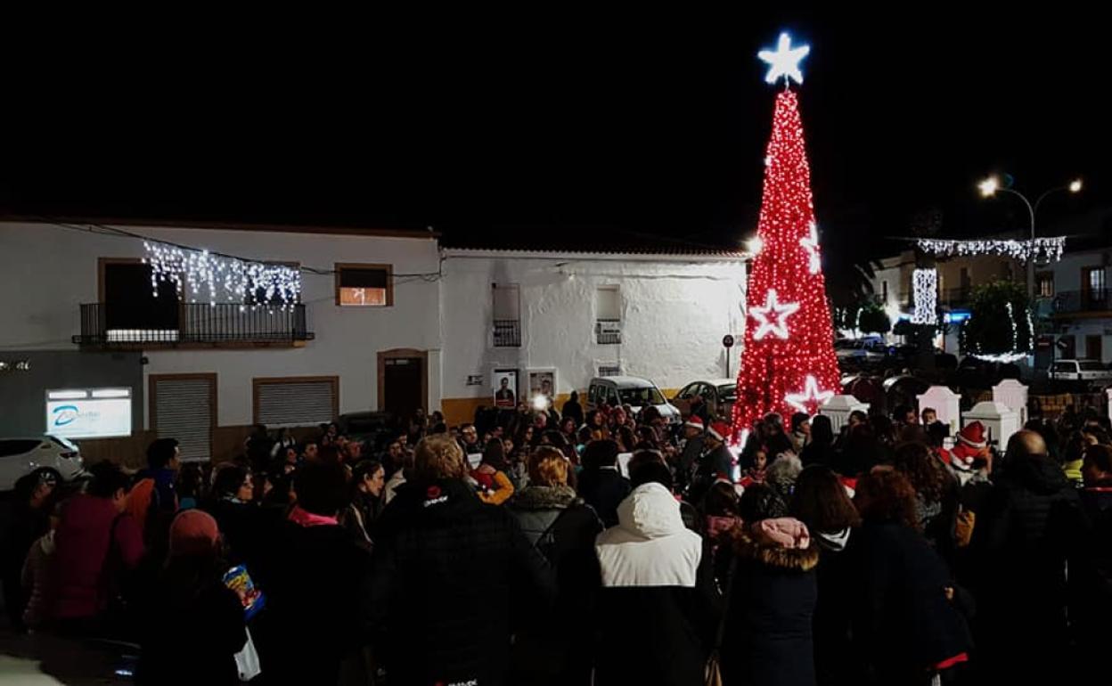 Encendido oficial del Árbol de Navidad