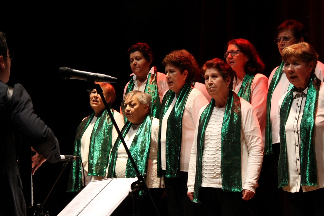Fotos: Concierto de Villancicos 2019 (I)
