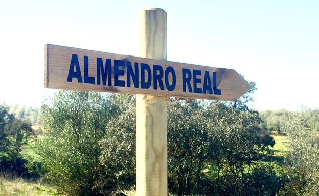 Señalética hacia el Árbol