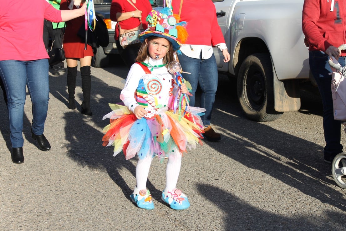 Fotos: Desfile del Carnaval 2020 (I)