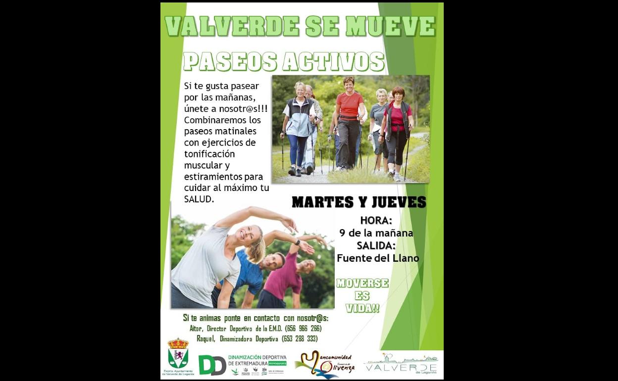 Se organizan paseos por las mañanas