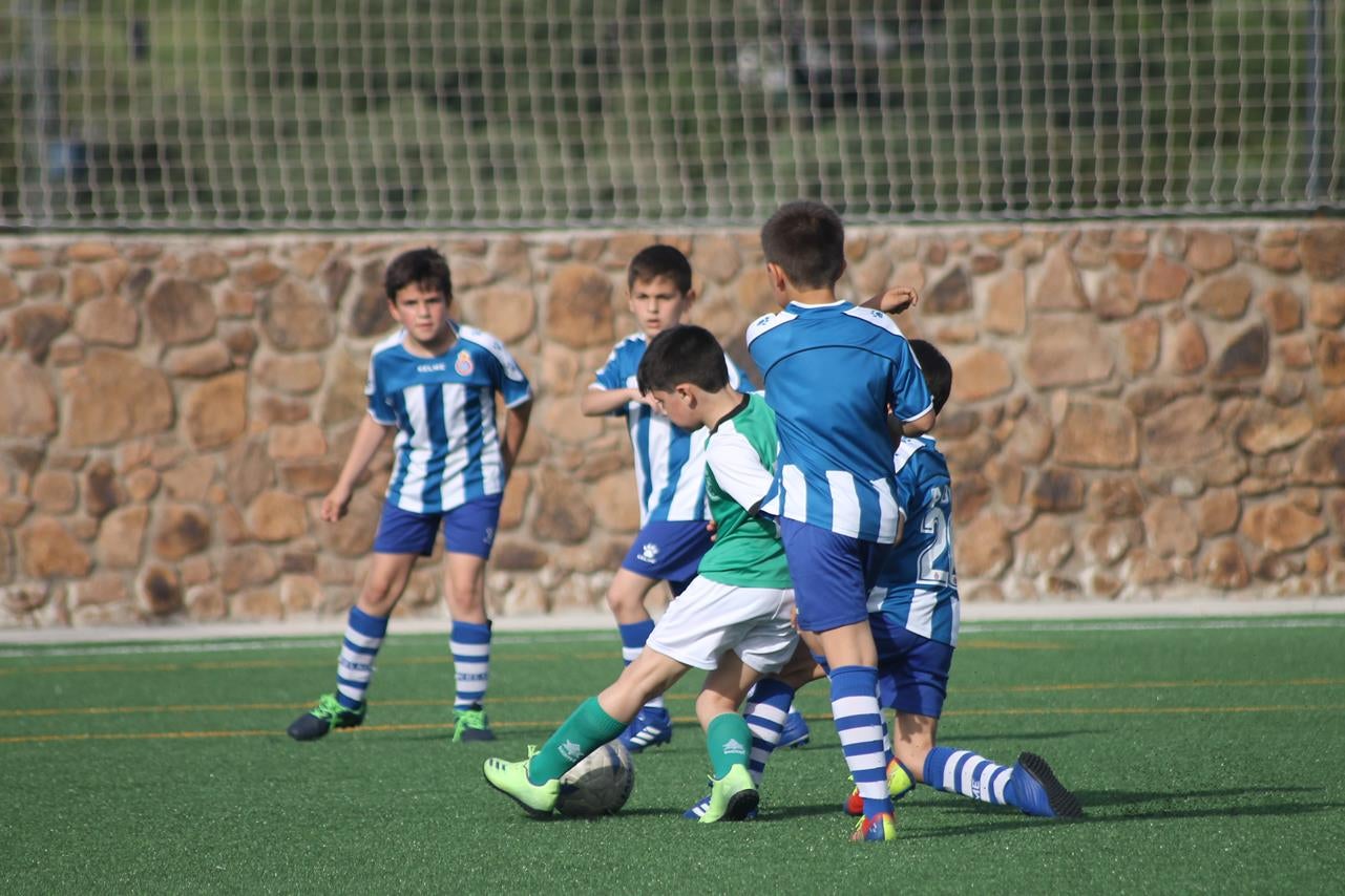 Fotos: Benjamín – EF Espanyol