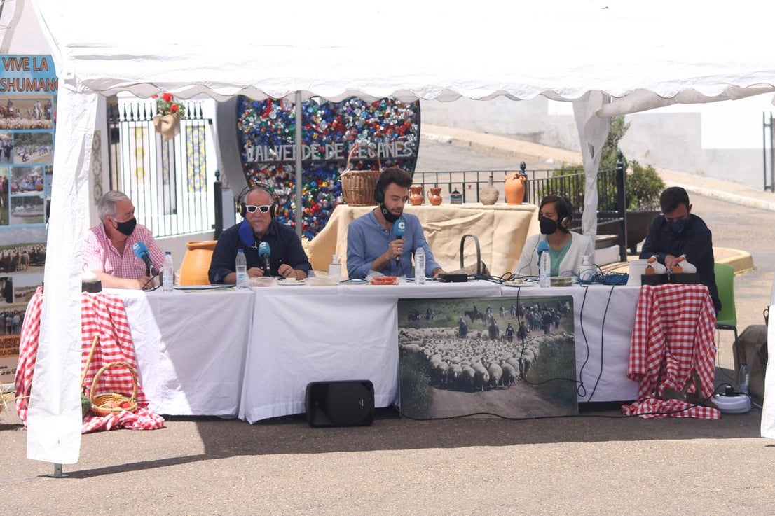 Fotos: X ‘Vive la Trashumancia’ (I)