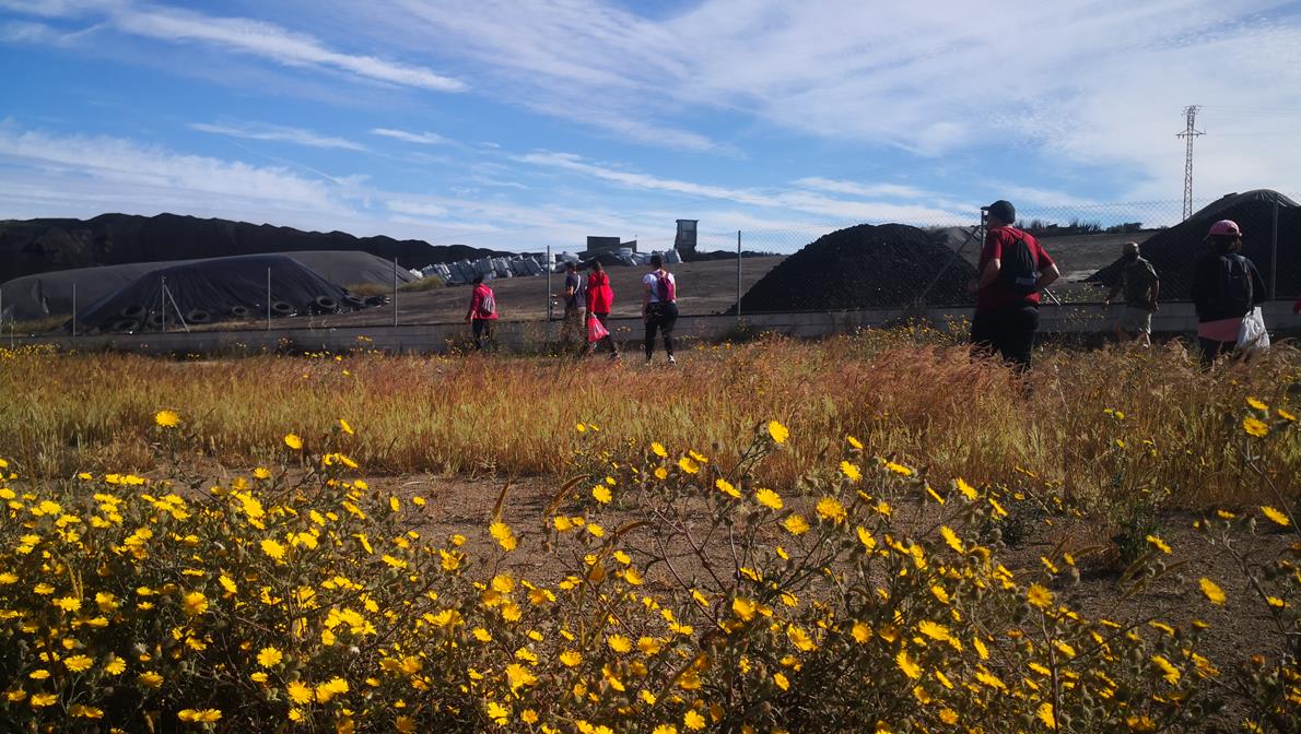 Fotos: X ‘Vive la Trashumancia’ (II)